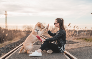 humans_companion_animals-blog