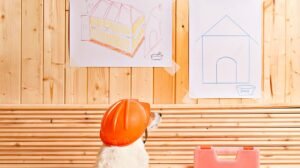 DIY-pet-projects